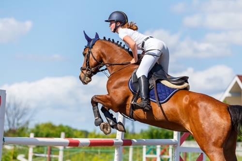 What Is Equestrianism? A Sport Where Elegance Meets Discipline