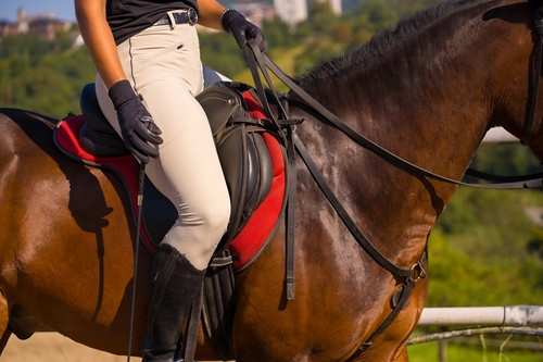 Leggings or Breeches? How to Choose the Best Riding Pants for Your Discipline 