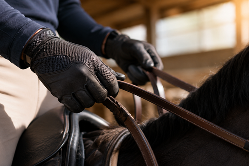 Equestrian Accessories Every Rider Should Own: Essentials for Style