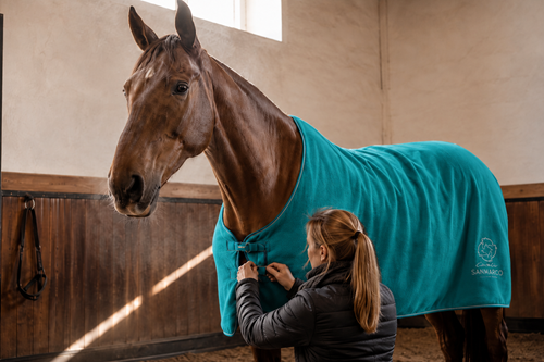 Horse Rug Types and Features: The Role of Fleece, Stable and Turnout Models