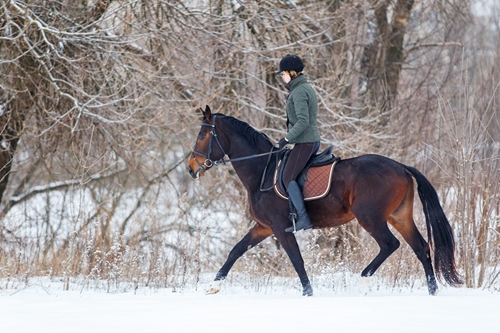 Winter Riding Wardrobe for Women: Essential Equestrian Clothing for Cold Days