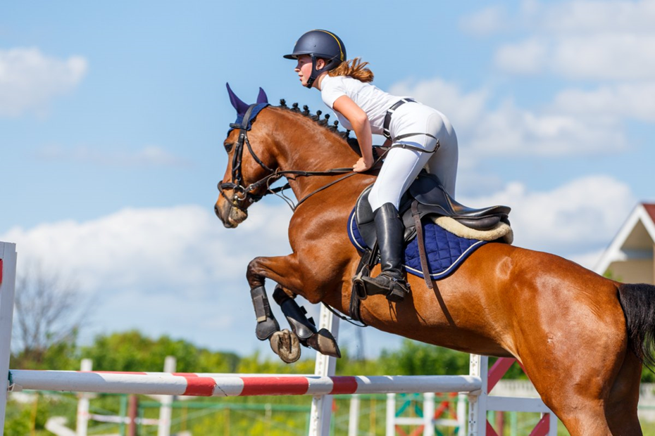 What Is Equestrianism? A Sport Where Elegance Meets Discipline