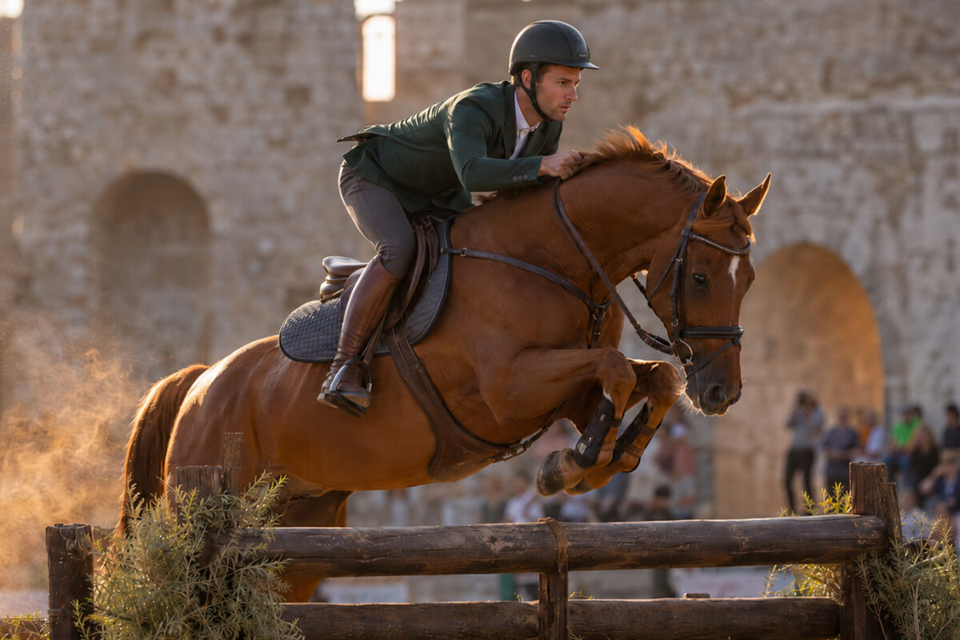 Dressage or Show Jumping? Clothing and Equipment Differences Between the Two Disciplines