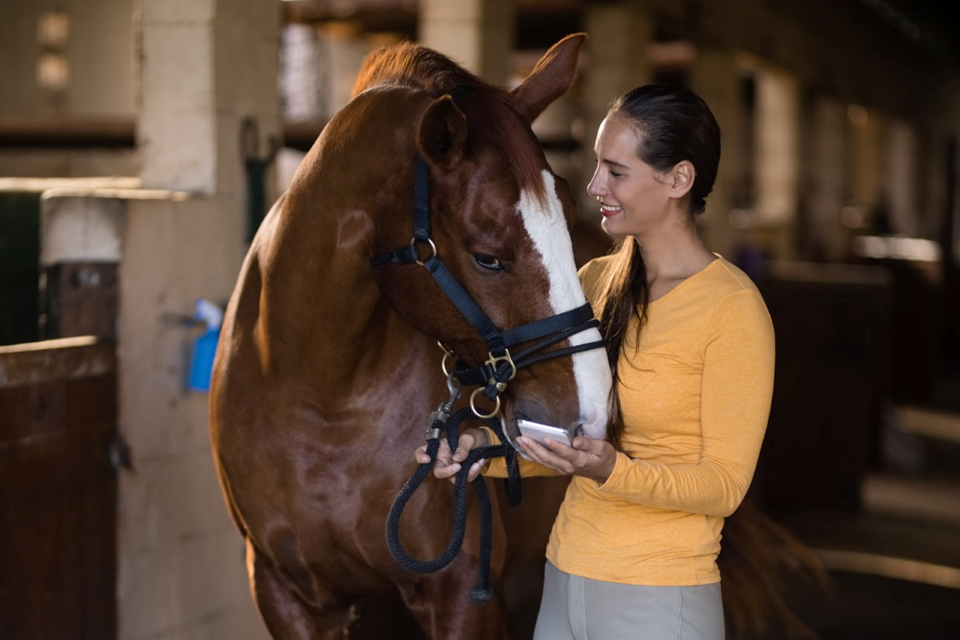 Equitazione e Abbigliamento: Quale Materiale Scegliere?
