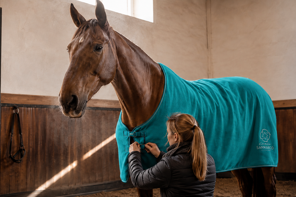 Horse Rug Types and Features: The Role of Fleece, Stable and Turnout Models